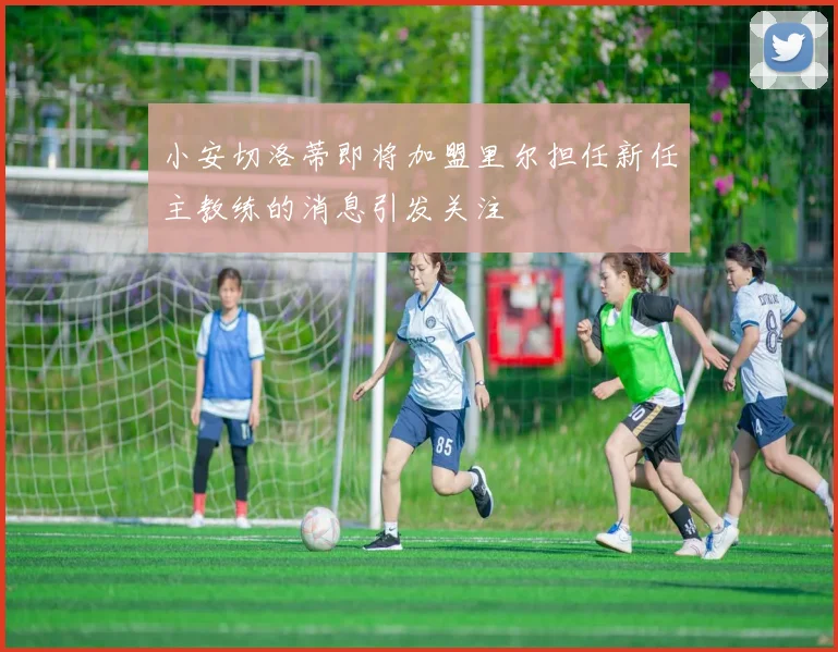 小安切洛蒂即将加盟里尔担任新任主教练的消息引发关注